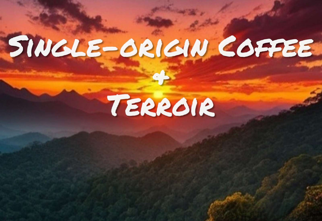 Single origin coffee and terroir 