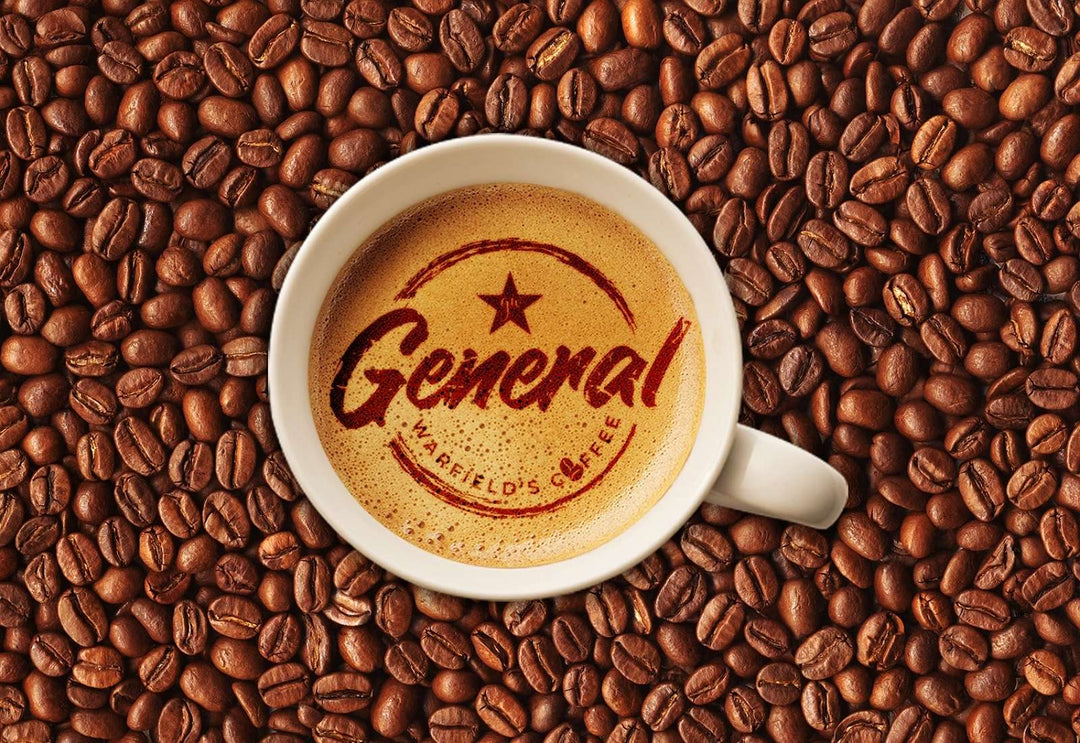 Coffee Basics blog image of coffee cup sitting on coffee beans