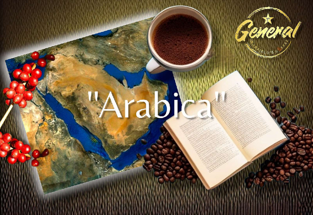 Why arabica beans are named arabica 