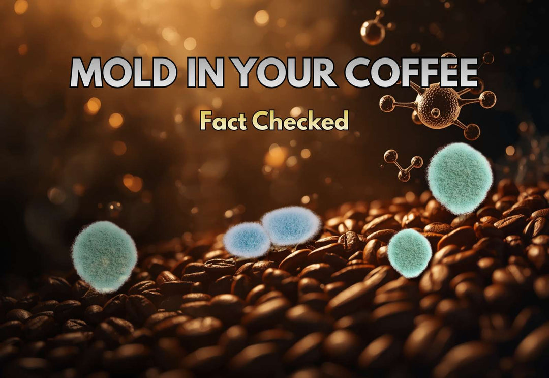 Illustration of mold spores on coffee beans with "Mold in Your Coffee — Fact Checked" text overlay, representing General Warfield's Coffee's myth-busting article on mycotoxins