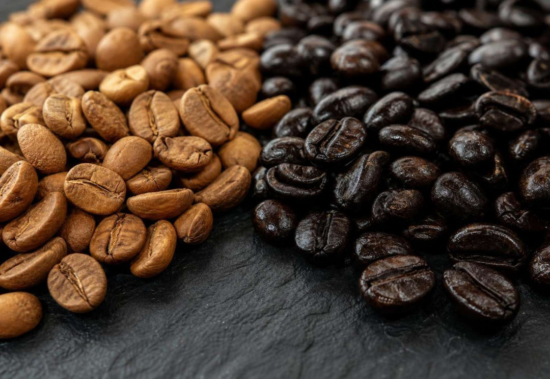 Light roast and dark roast beans side by side comparison